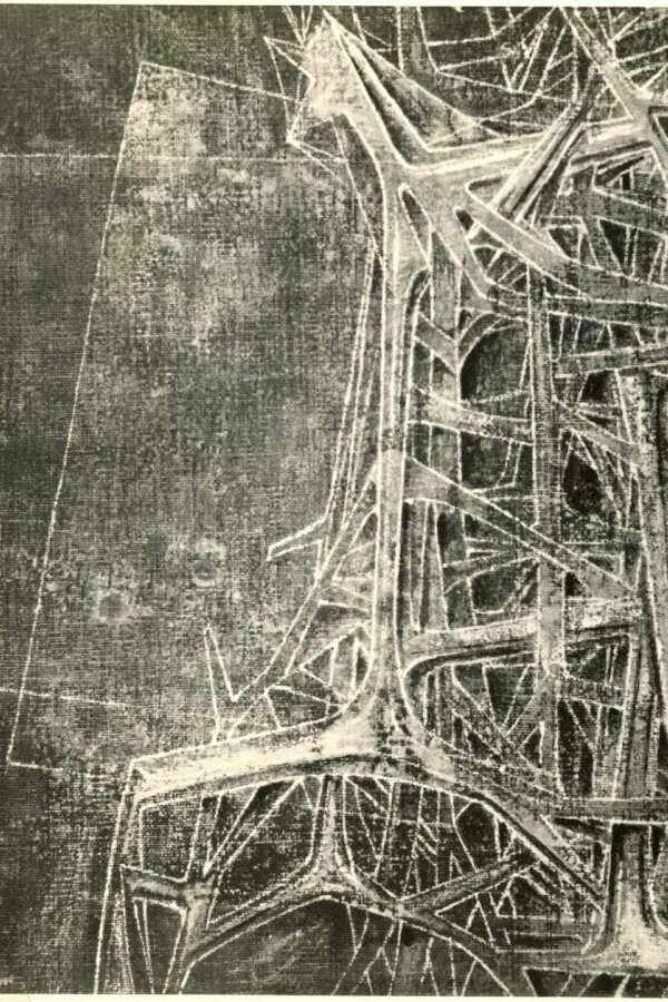 Architektura přírody, 1959, Foto: Zdenko Feyfar, Praha 1, Platnářská 8